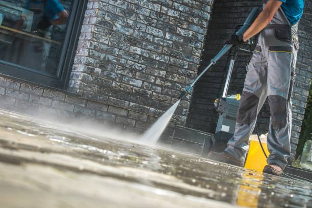Best Animal Enclosure Cleaning  in Yulee, FL